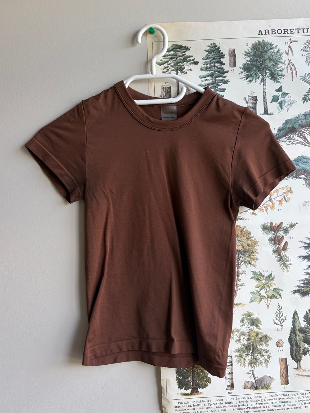 Aritzia Sunday Best Willow Sinch Seamless Tee XS brown